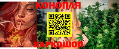 гидропоника Краснознаменск