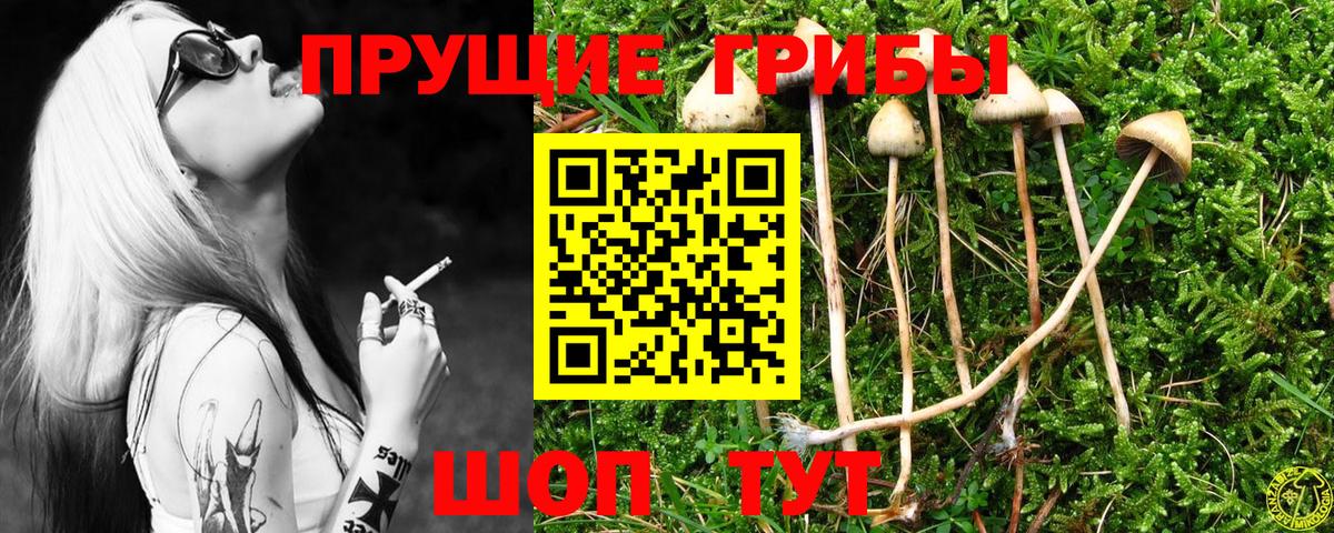 Йошкар-Ола  Галлюциногенные грибы мухоморы  Вход с VPN 